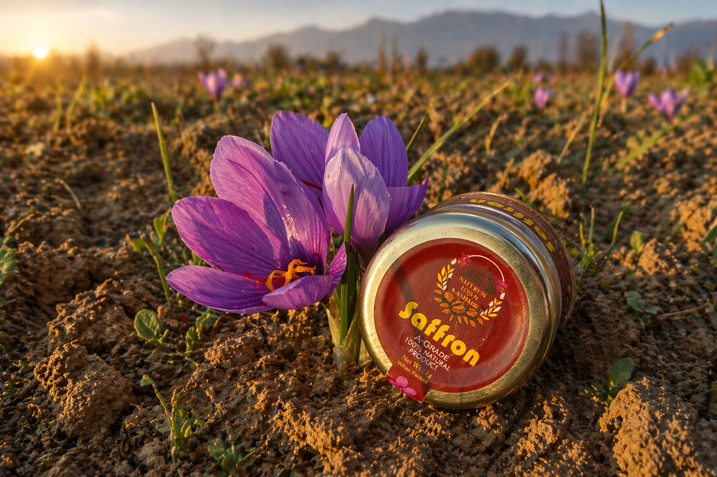 SaffronTownKashmir™ Pampore Mongra Saffron | Hand-Harvested Kashmiri Red Gold | Grade A+ Pure Kesar